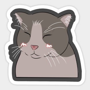 Smiling cat filter Sticker